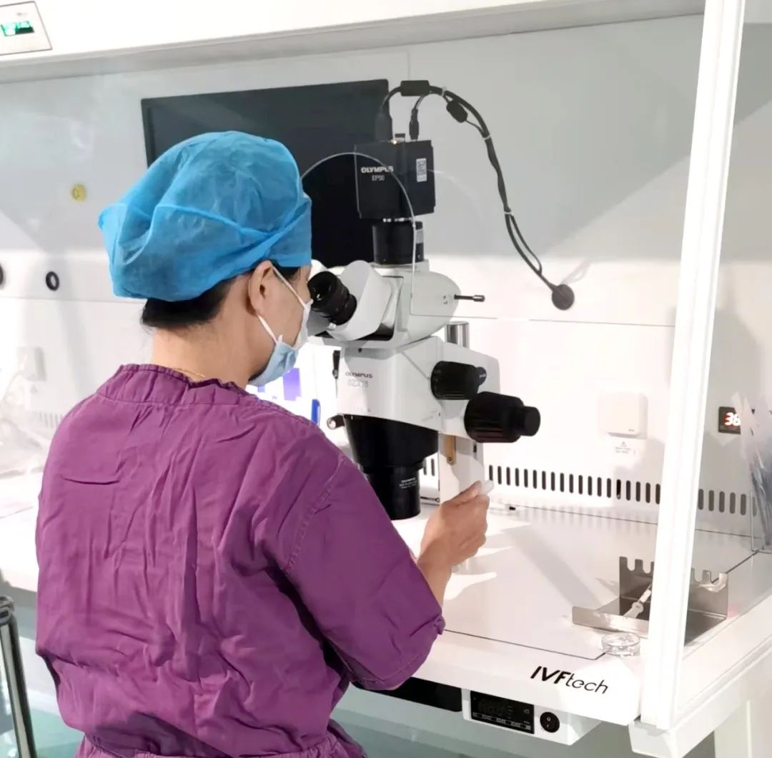 【喜訊】保山首例無精子癥通過試管嬰兒技術(shù)助孕成功！